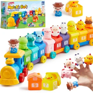 Montessori Learning Farm Train